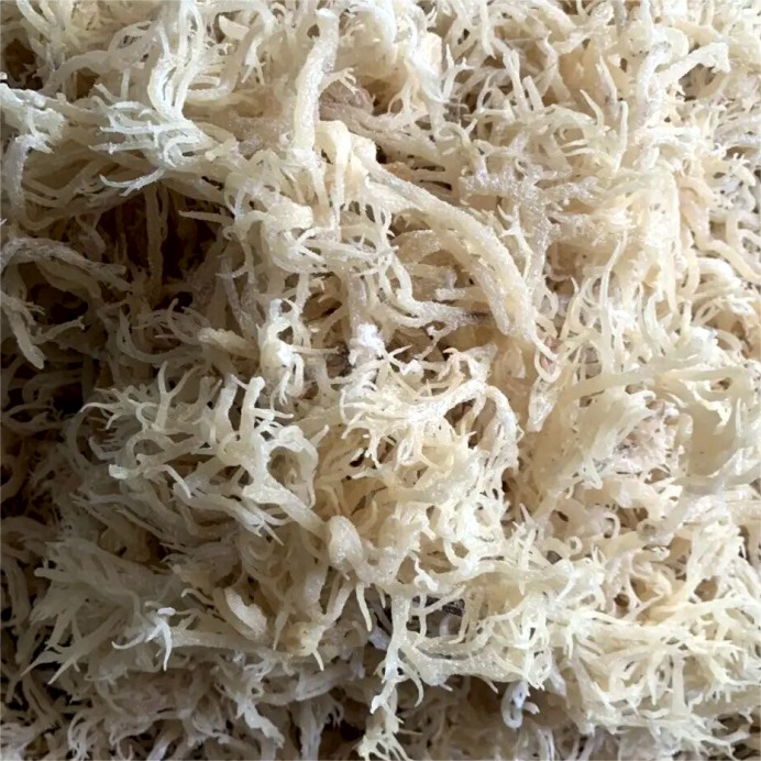 Eucheuma Cottonii products 3