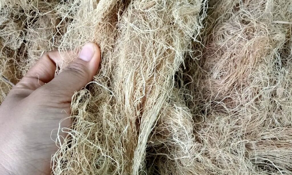 alasan pilih duplikat kunci sby