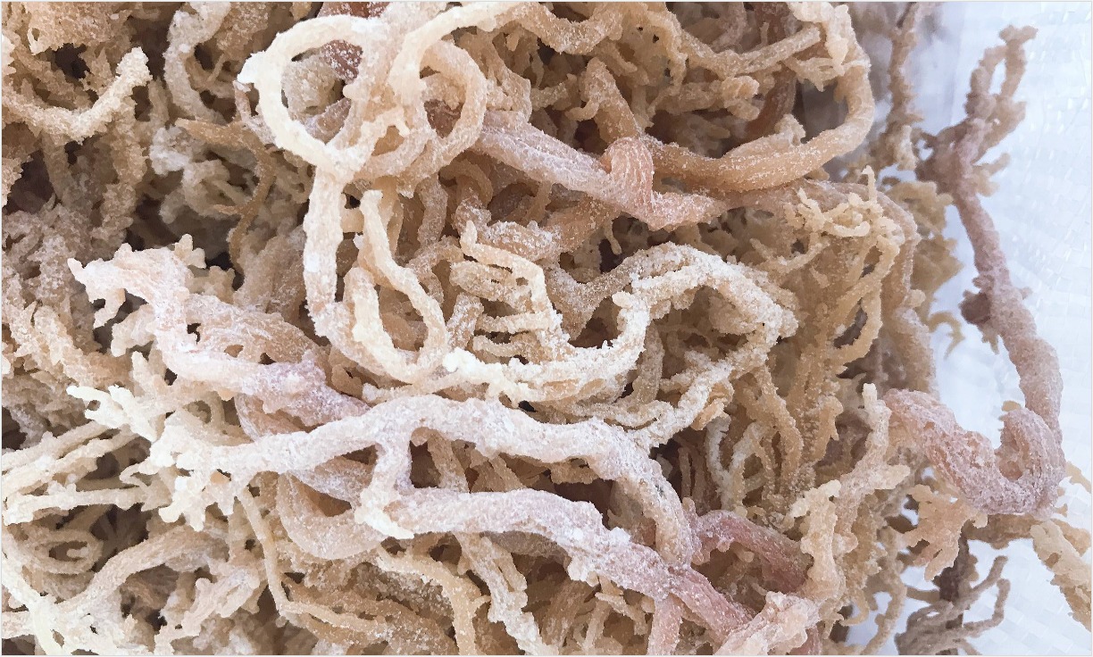 Top 5 Delicious Recipes Featuring Gracilaria Seaweed