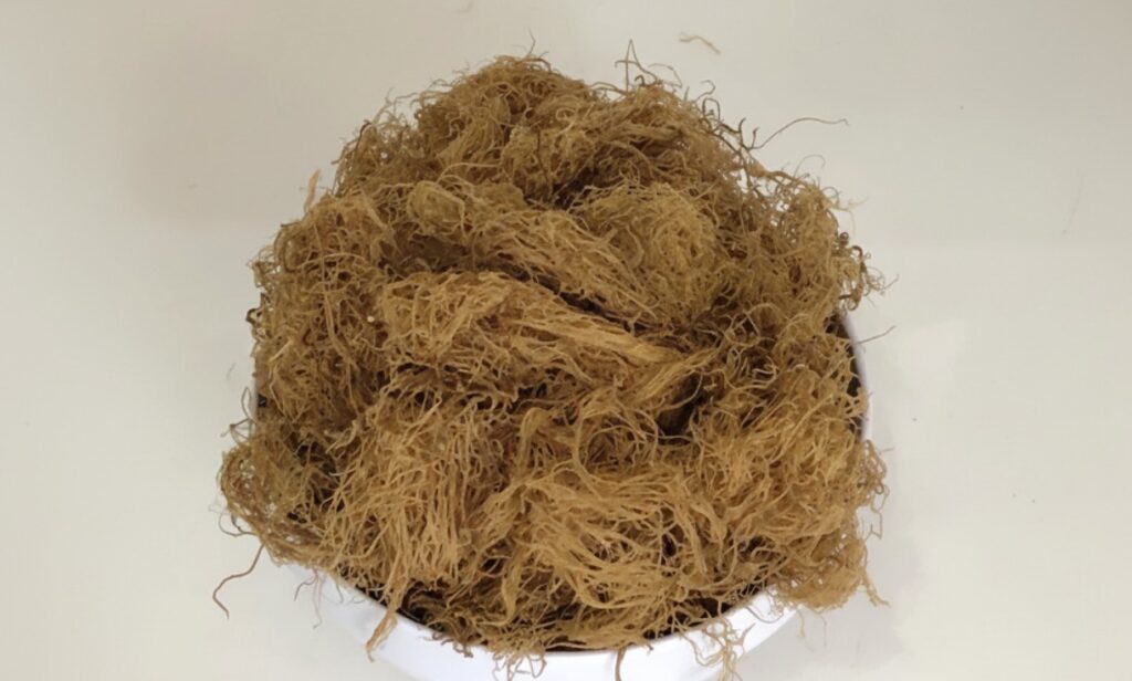 Why Gracilaria Matters to Korea