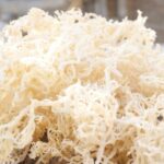 Dried Seaweed: The Ultimate Superfood Packed with Nutrients and Health Benefits