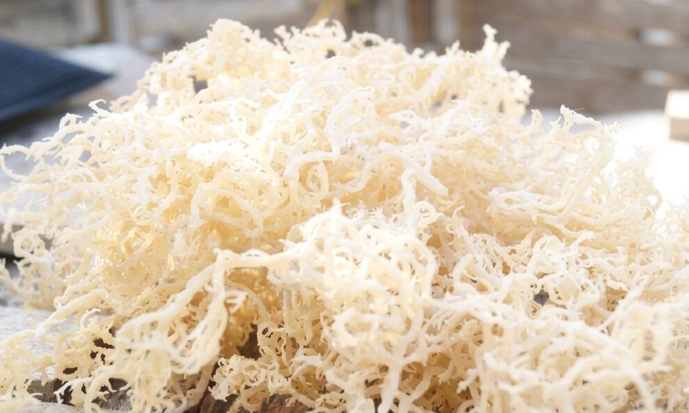 Dried Seaweed: The Ultimate Superfood Packed with Nutrients and Health Benefits