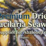Premium Dried Gracilaria Seaweed Supplier for Abalone Feed Japan
