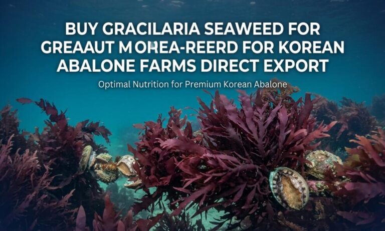 Buy Gracilaria for Korea Abalone Farms: Direct Export