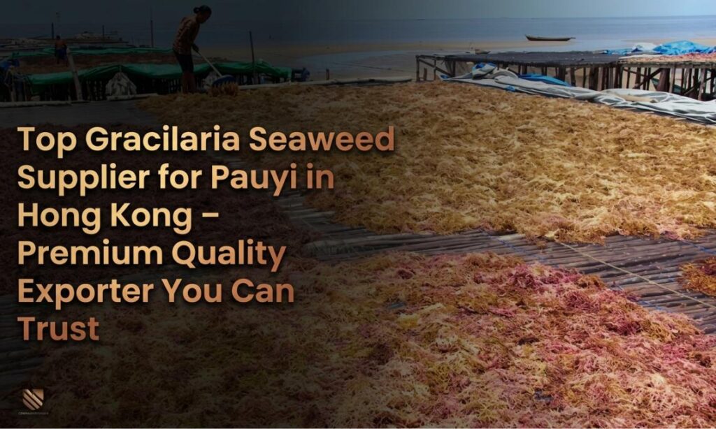 Top Gracilaria Supplier for Pauyi in Hong Kong