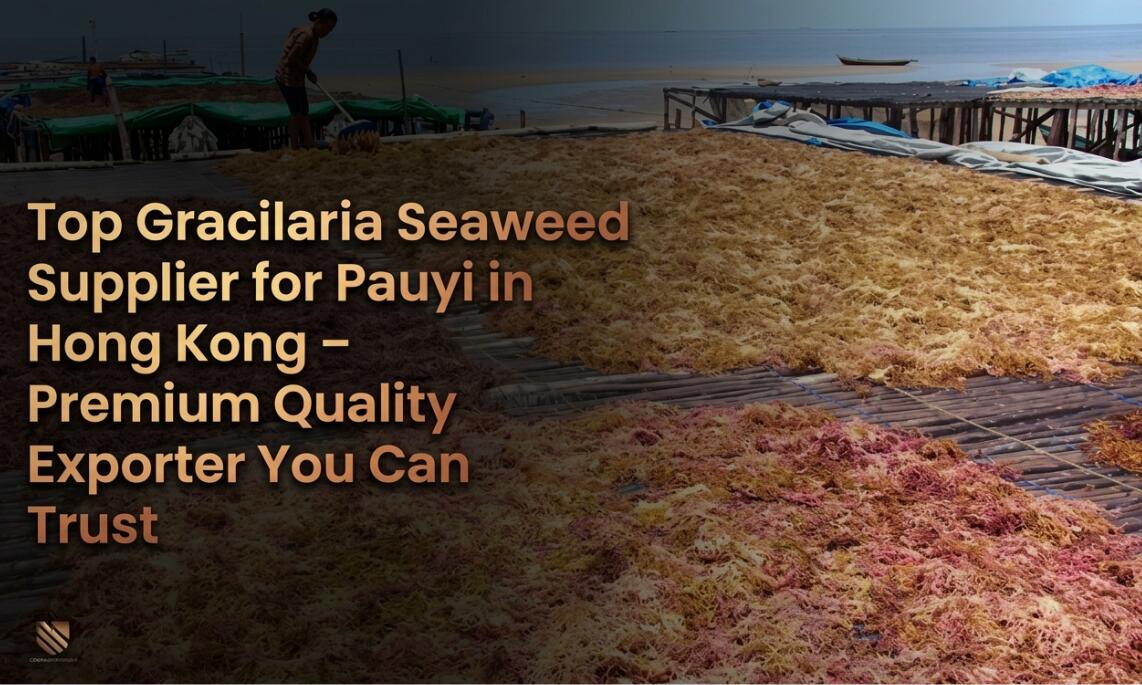 Gracilaria Seaweed Supplier for Pauyi in Hong Kong
