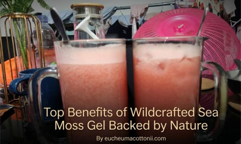 Top Benefits of Wildcrafted Sea Moss Gel in Nature