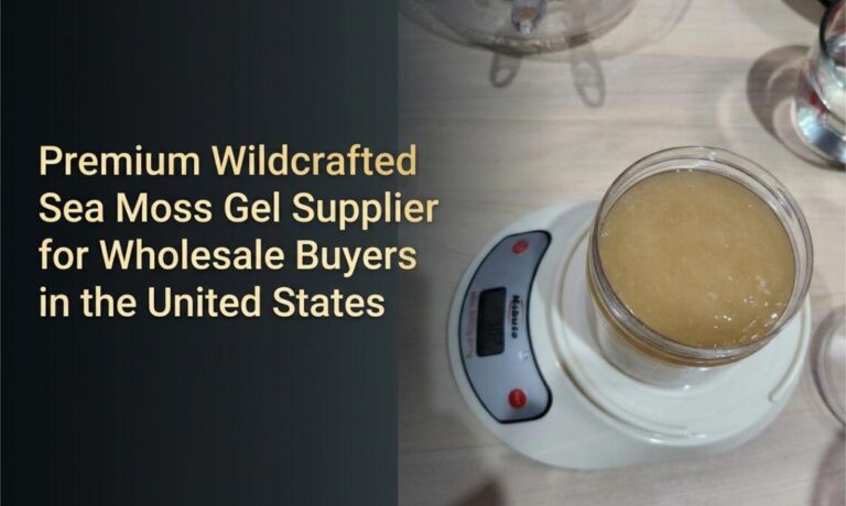 Premium Sea Moss Gel Supplier for US Wholesale Buyers
