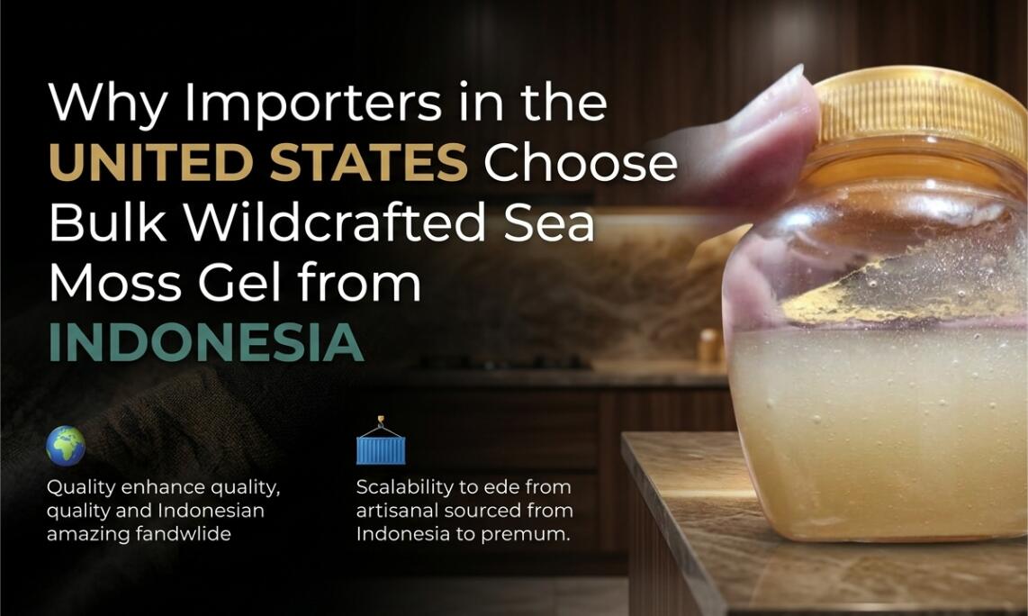 United States Choose Bulk Wildcrafted Sea Moss Gel