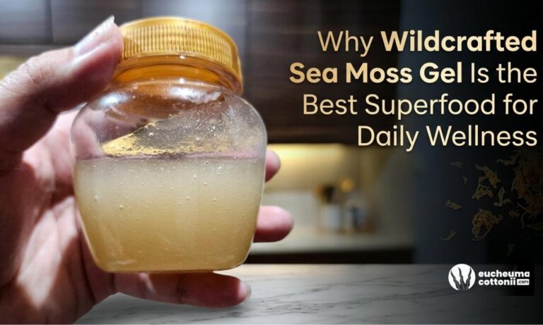 Why Wildcrafted Sea Moss Gel Is Best for Wellness