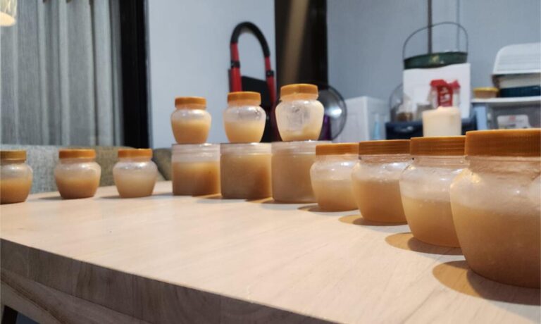 Why USA Consumers Prefer Wildcrafted Sea Moss Gel