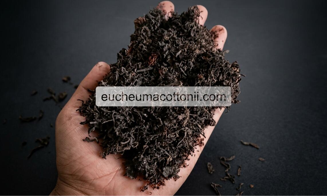 Sargassum Powder