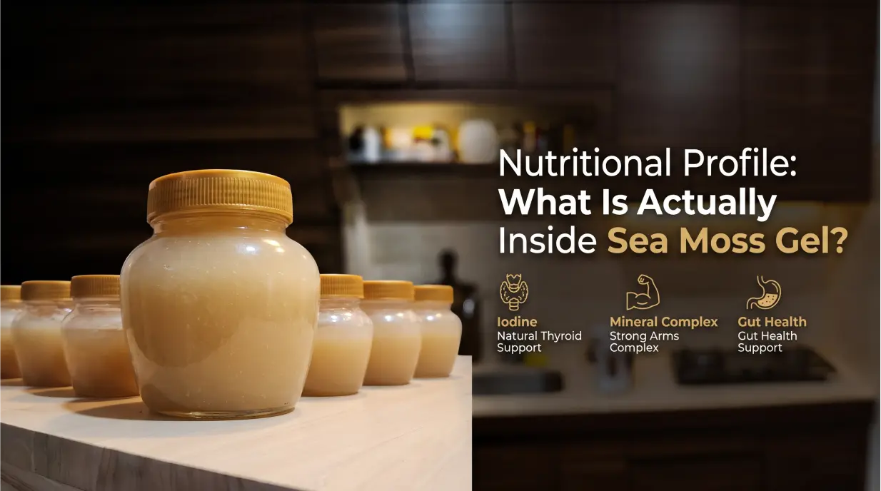 Multiple jars of raw sea moss gel prepared from Eucheuma cottonii, showing the rich nutritional profile and mineral content