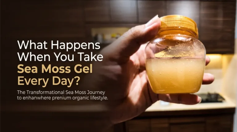 What Happens When You Take Sea Moss Gel Every Day? Benefits, Dosage, and Side Effects