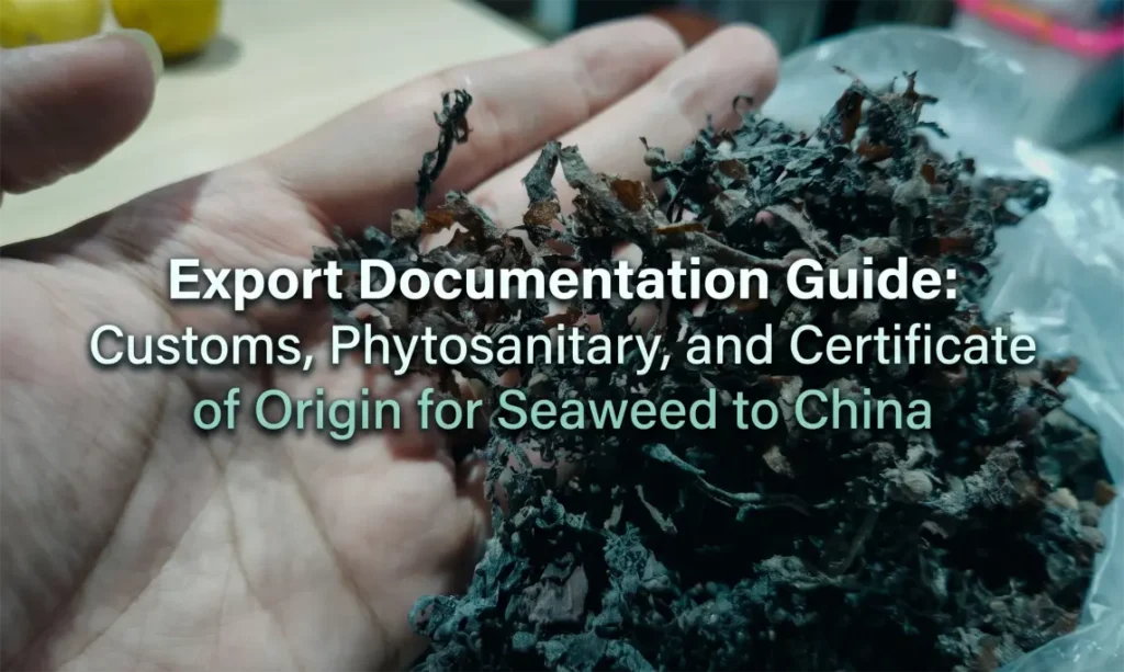 Export Documentation Guide: Customs, Phytosanitary, and Certificate of Origin for Seaweed to China